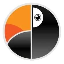 Pollyart - TOP 83 Ranking firm SEO w Polsce